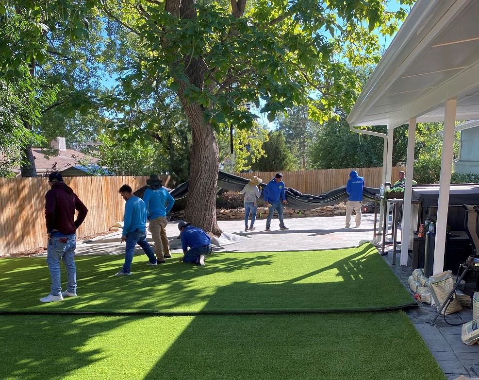 Rolling out artificial turf in a Westminster, CO backyard